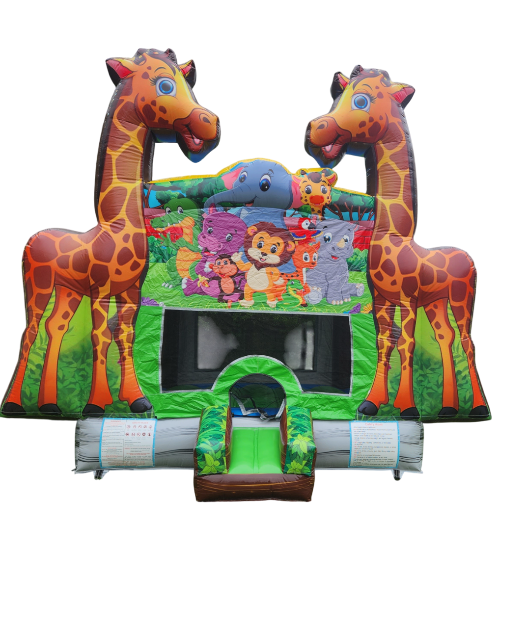 Dino Bouncer