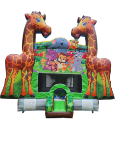 Dino Bouncer