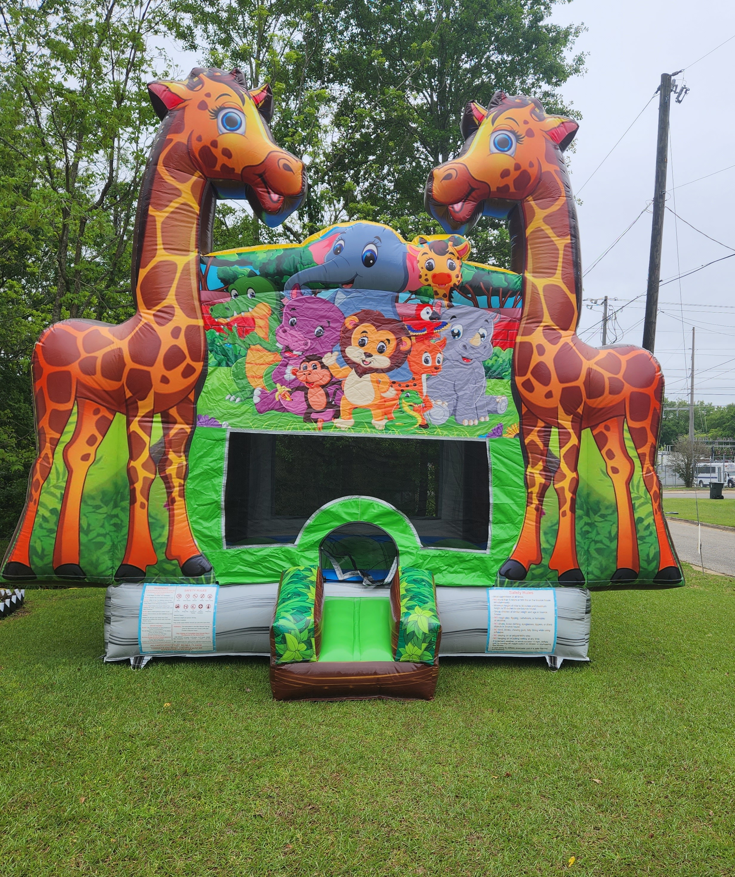Dino Bouncer