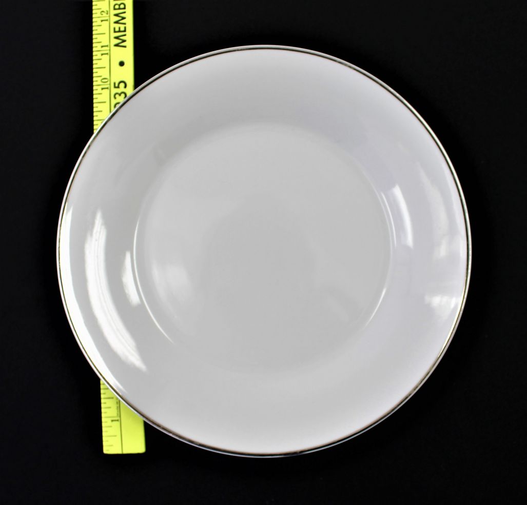 Plate Dinner China White Platinum stripe