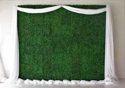 Boxwood Backdrop