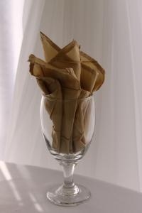 Champagne Pintuck 20x20 Napkin