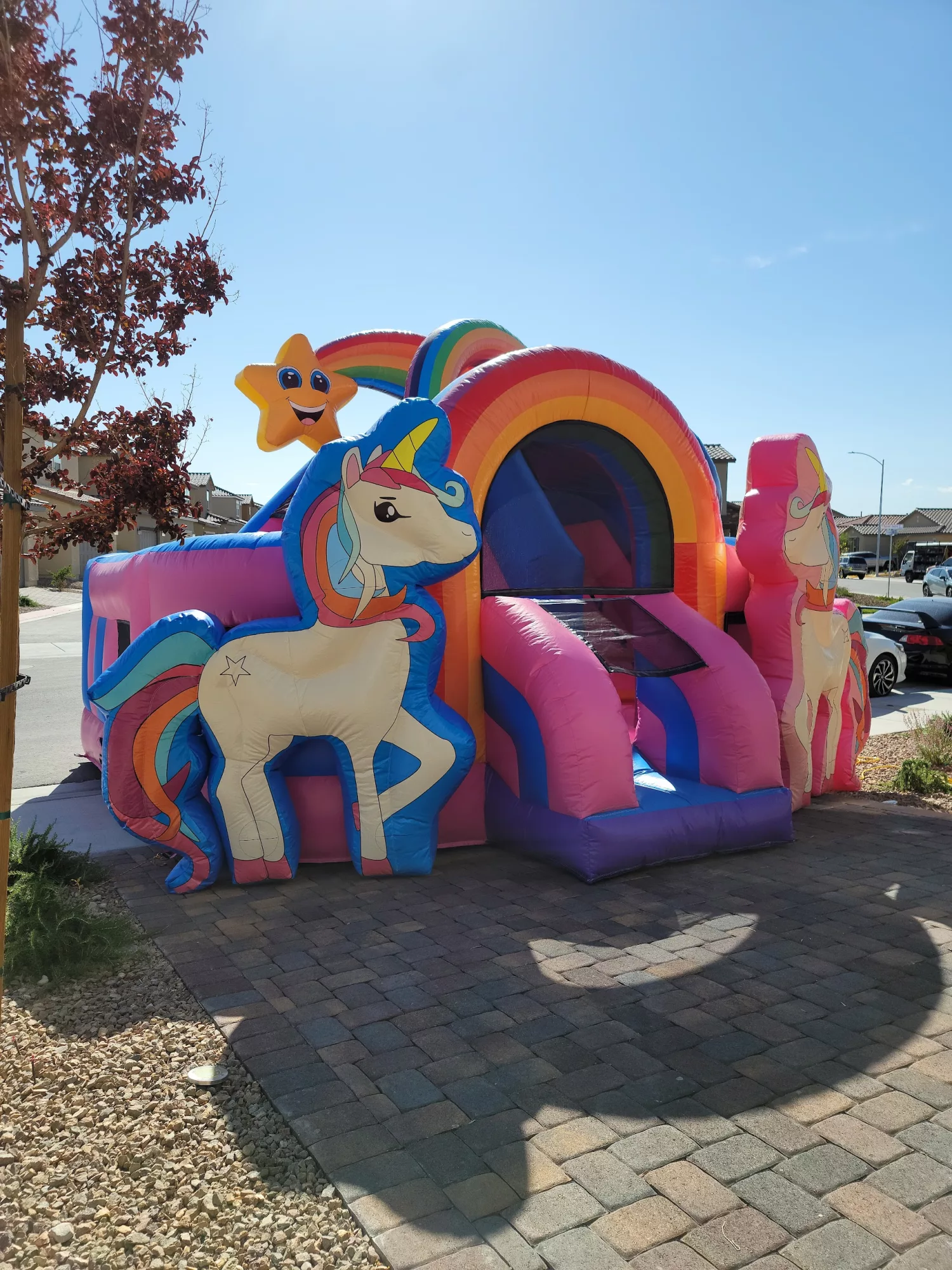Unicorn 3D Combo