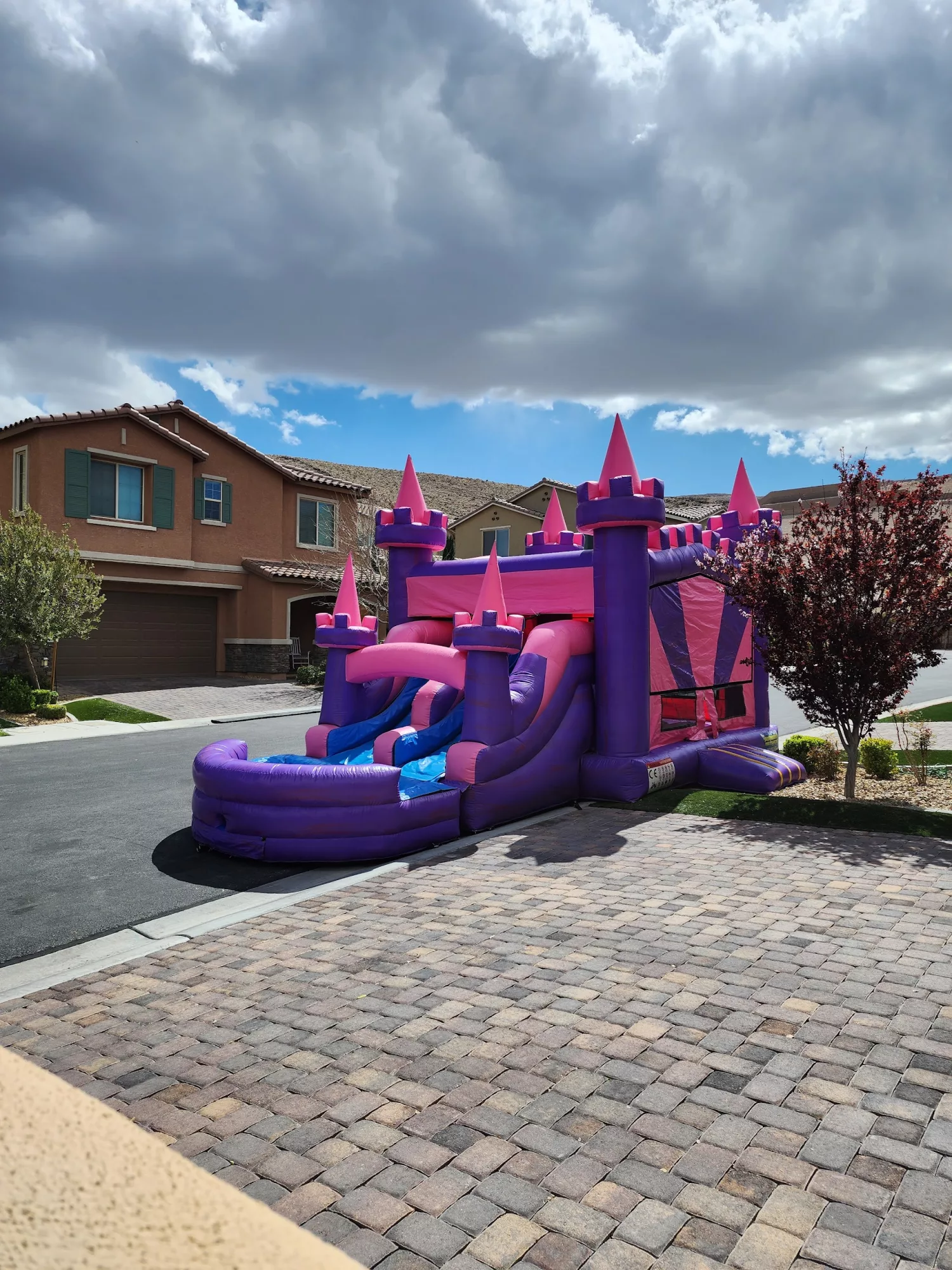 Dual Lane Princess Castle Jump-n-Slide Wet or Dry Combo (Wet $289)