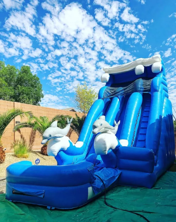 21' Dual Dolphin Water Slide (Wet $389)