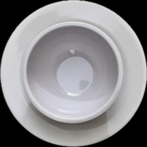 The Blanque: Melamine 10” Dinner Plate