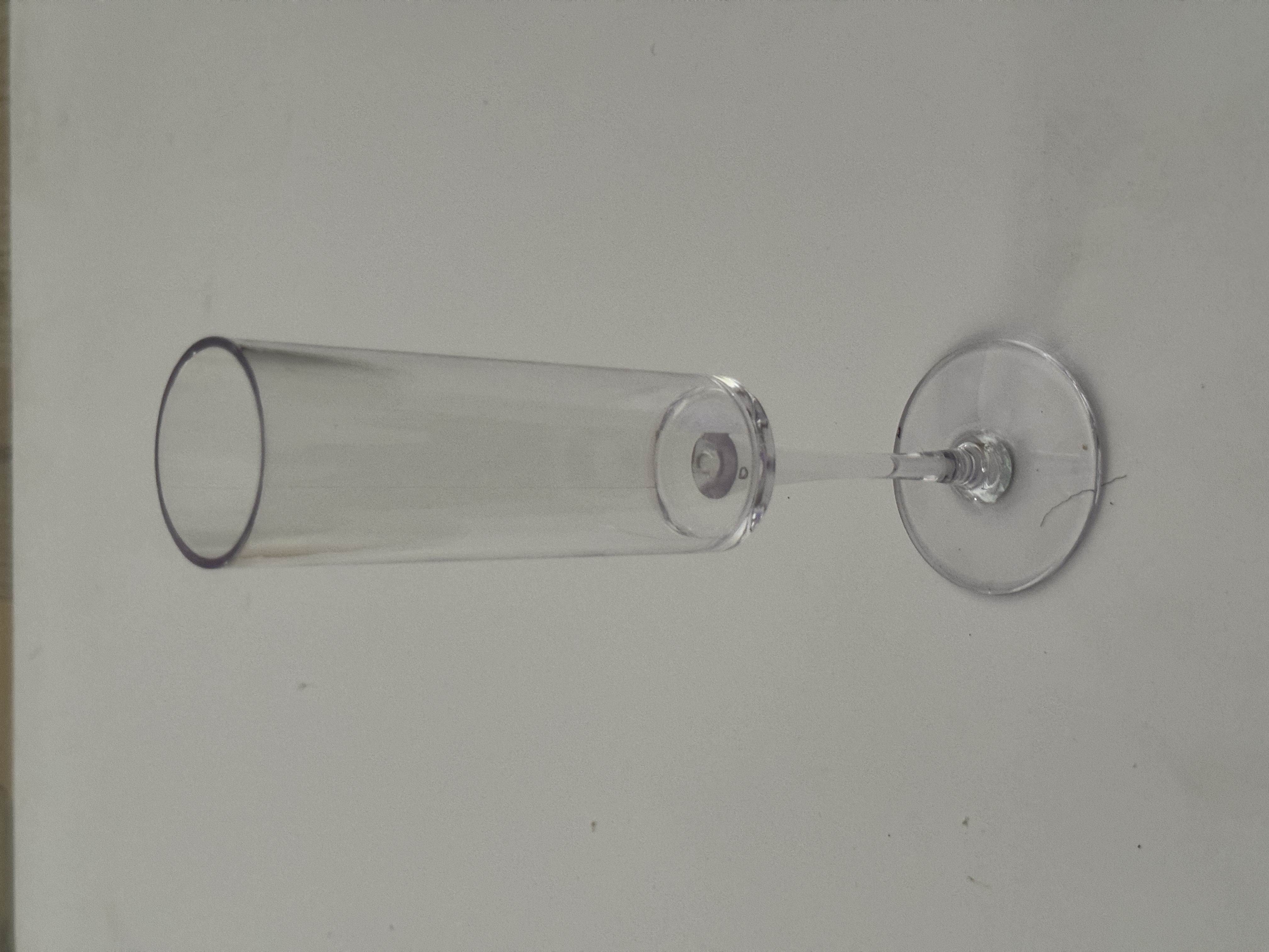 The Lume: Acrylic Champagne Flute