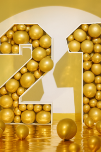 4ft 3d 21
