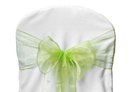 ZPC Sheer Organza Chair Sash - Apple Green