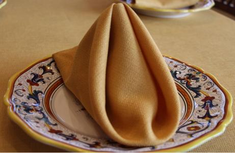 The Havana: Linen Weave Napkin