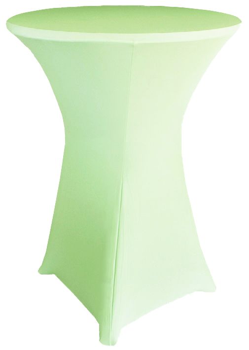 Mint Green Spandex Cocktail