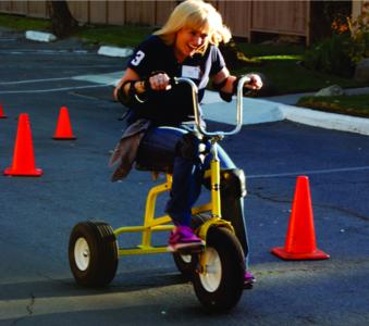 Giant Adult Tricycles