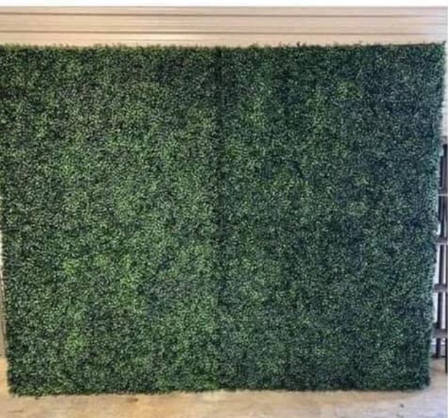Boxwood Greenery Wall