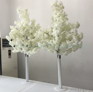 5FT White Cherry Trees						