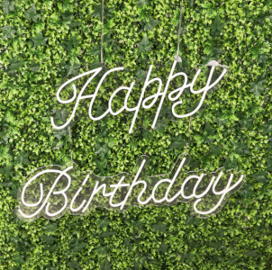 Happy Birthday Neon Sign
