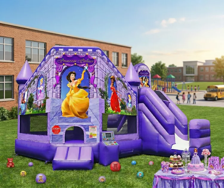 Princess Palace Bounce House/Slide Combo