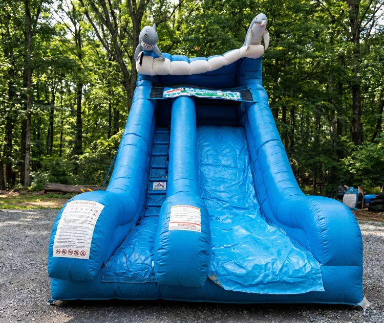 20' Giant Dolphin Dry Slide