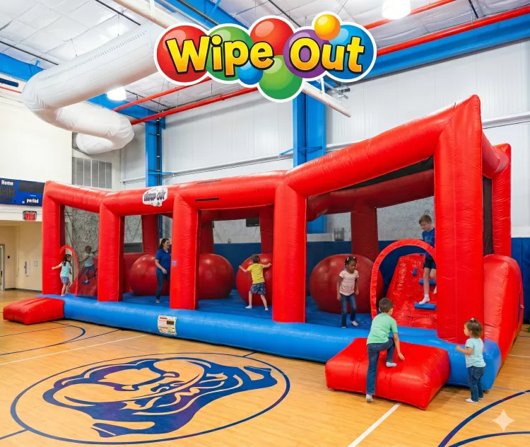 Wipe Out
