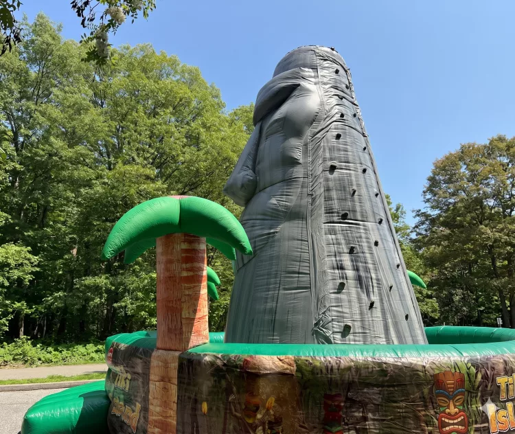 Tiki Island Rock Wall 28'