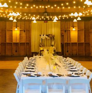 Cafe String Lights- 50 ft (Indoor or Outdoor)